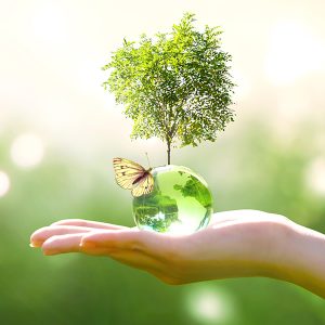 sustainability-updates-1