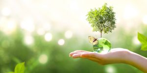 sustainability-updates-3