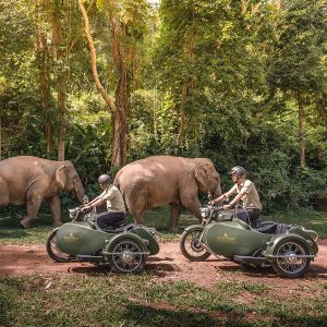 Royal-Enfield-Sidecar-Tours-from-Anantara-Golden-Triangle-1