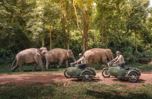 Royal-Enfield-Sidecar-Tours-from-Anantara-Golden-Triangle-2