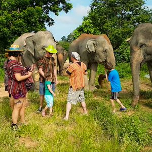 5-Tips-for-Thai-Animal-Tourism-1