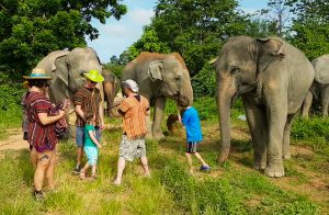 5-Tips-for-Thai-Animal-Tourism-2