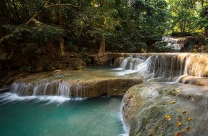 Eco-Nature-Thailand-3