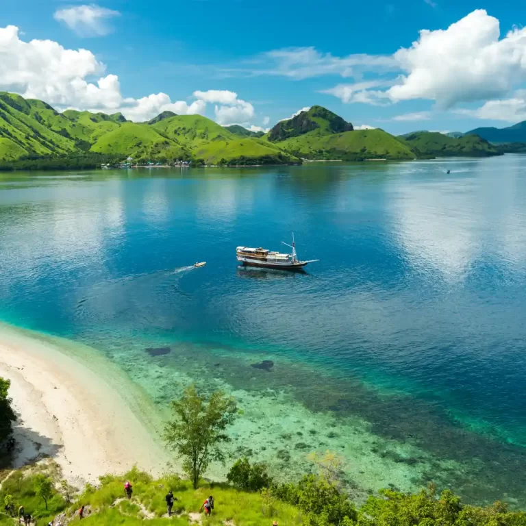 Home to Ancient Giants: Get to Know Komodo Island