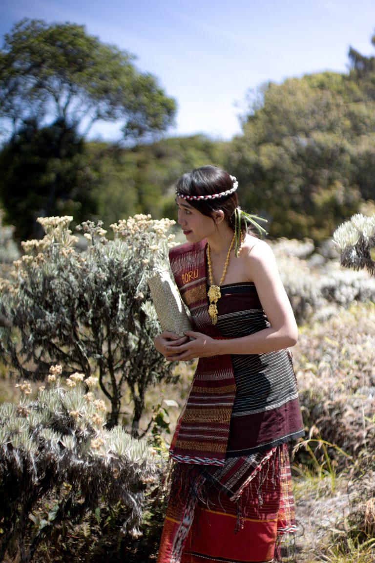 Batak,Woman,Wearing,Ulos,Which,Is,A,Traditional,Cloth,From