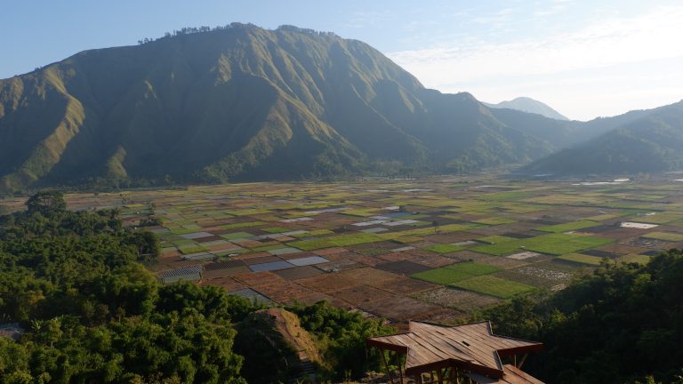 Beautiful,Terraced,Rice,Fields,,In,The,Villages,Of,Sembalun,And