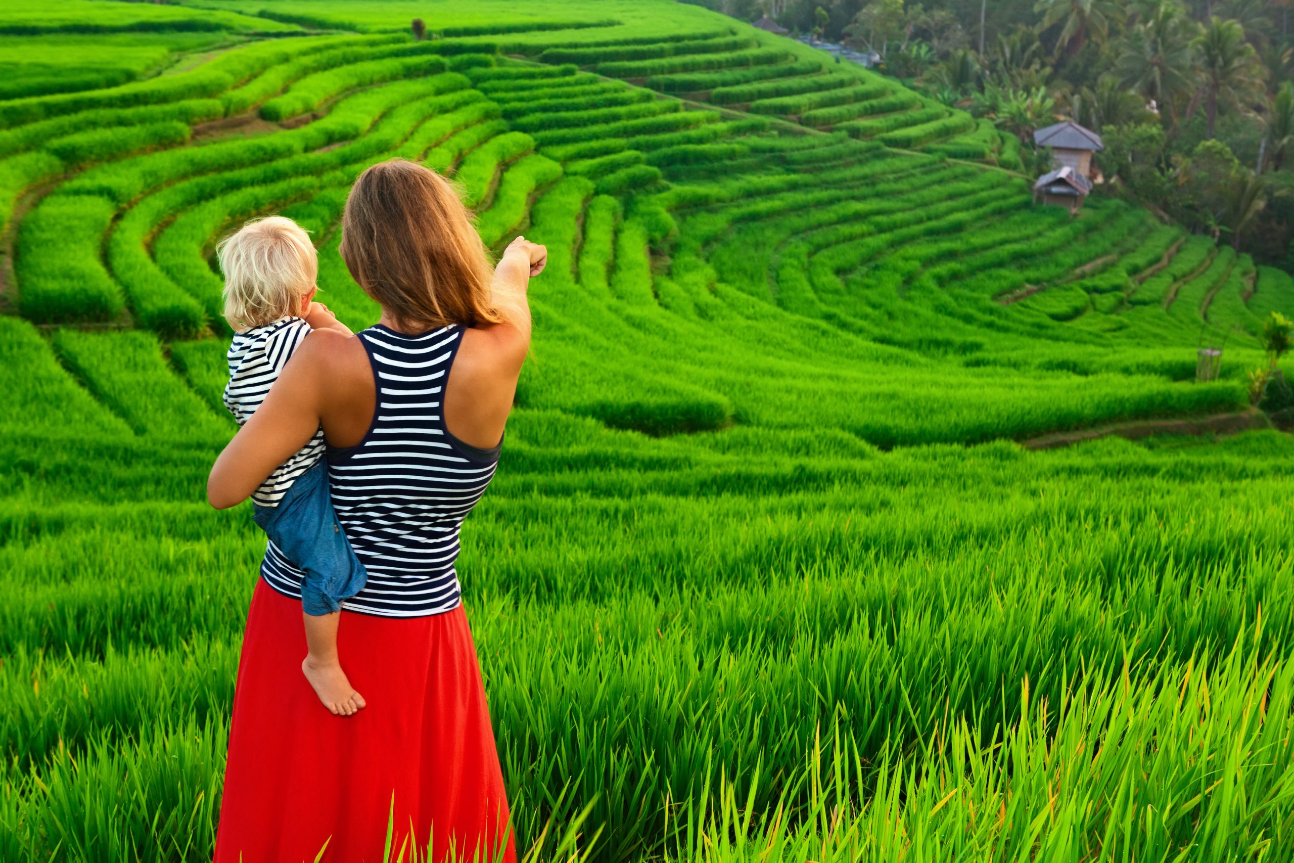 Beautiful,View,Of,Balinese,Traditional,Fields.,Nature,Walk,In,Green