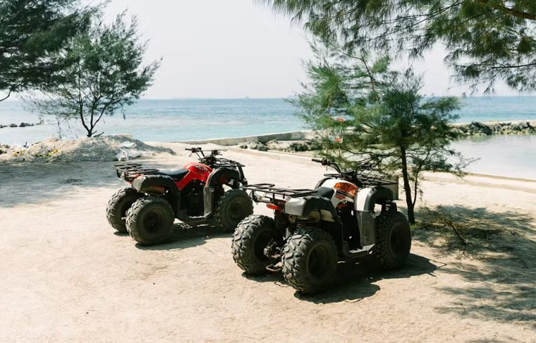 2b3fb15b-2d52-4f6d-9c75-5fcf1c4db508