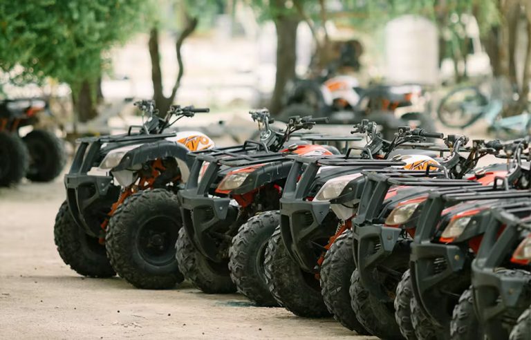 fe0736b7-a5e6-4fc7-ba38-a40f29e2c8f6