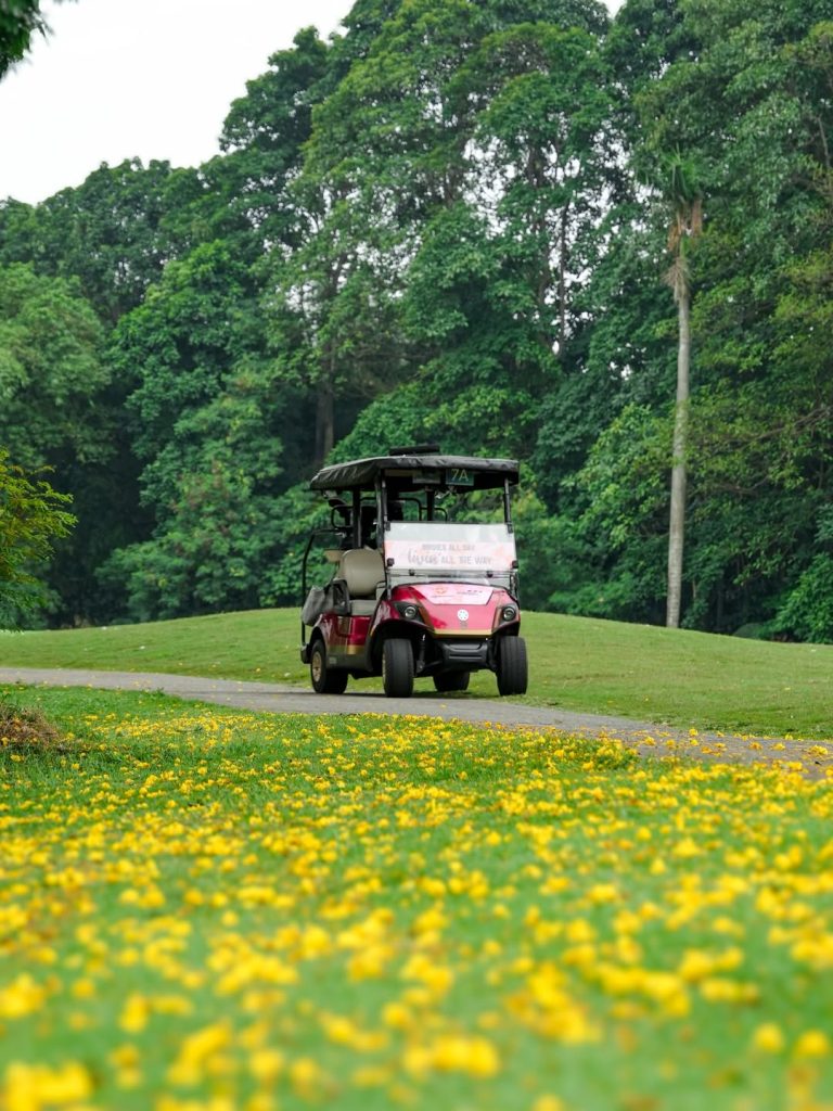 SnapInsta.to_557726049_18373608349197458_8288709937663328884_n