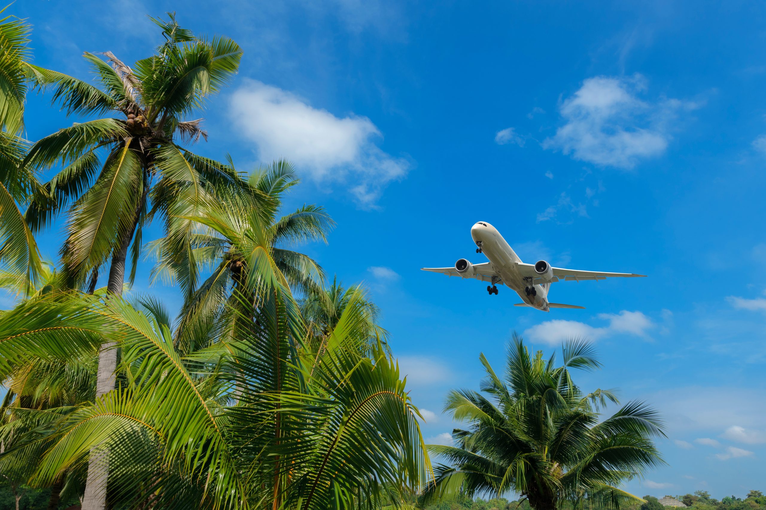 Airplane,Flying,Over,Tropical,Palm,Trees.,Clear,Blue,Sky,Vacation