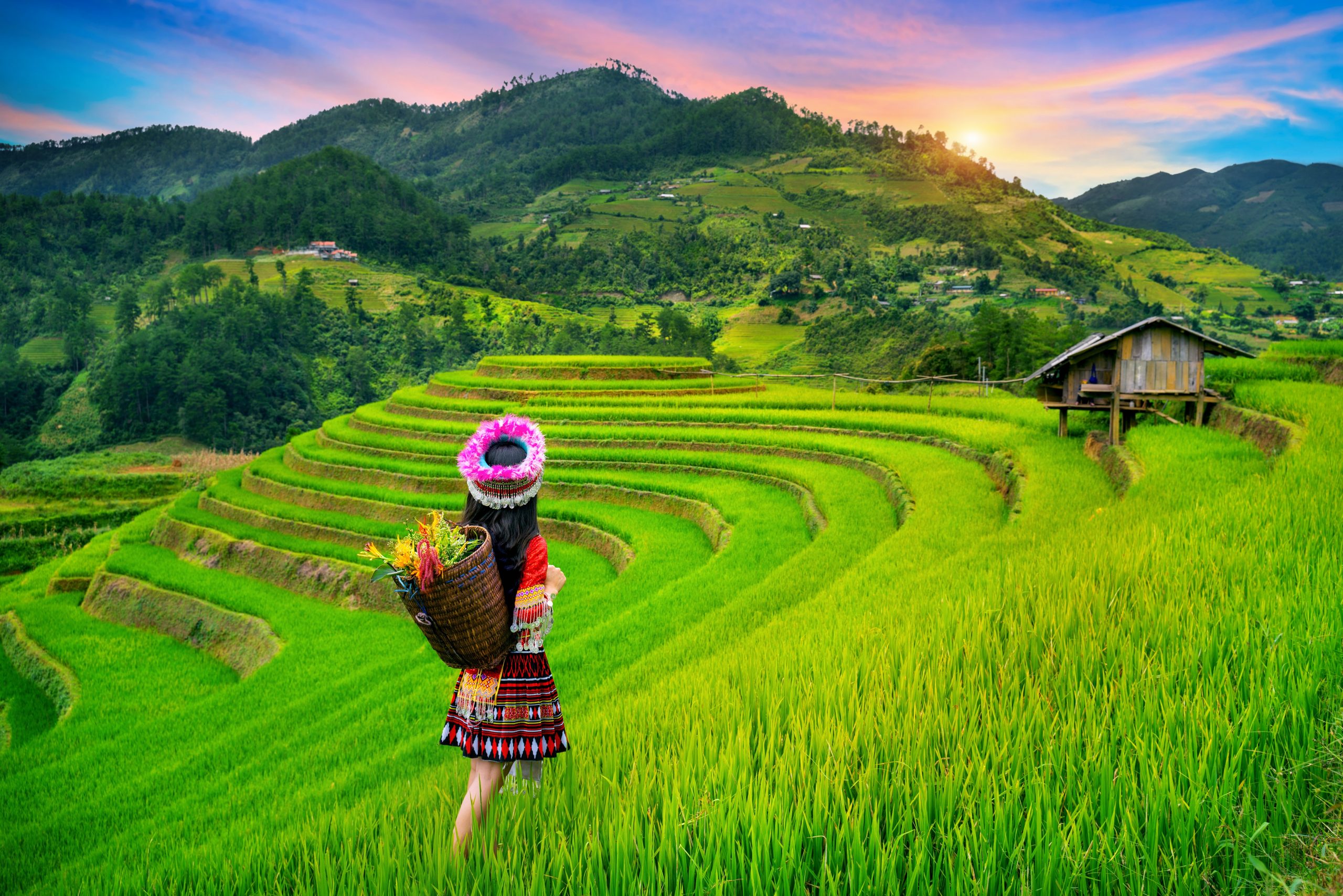 Hmong,Ethnic,Minority,Standing,On,Rice,Terraces,In,Mu,Cang