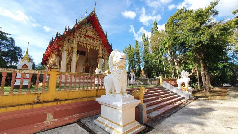 807fc43c-671f-4310-8b76-8d5f17dc16fd