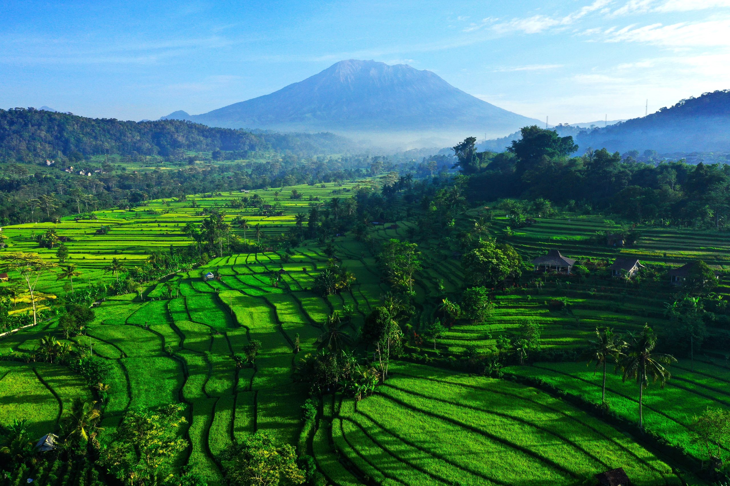 Beautiful,Morning,View,Of,Rice,Terraces,And,Mount,Agung,,East