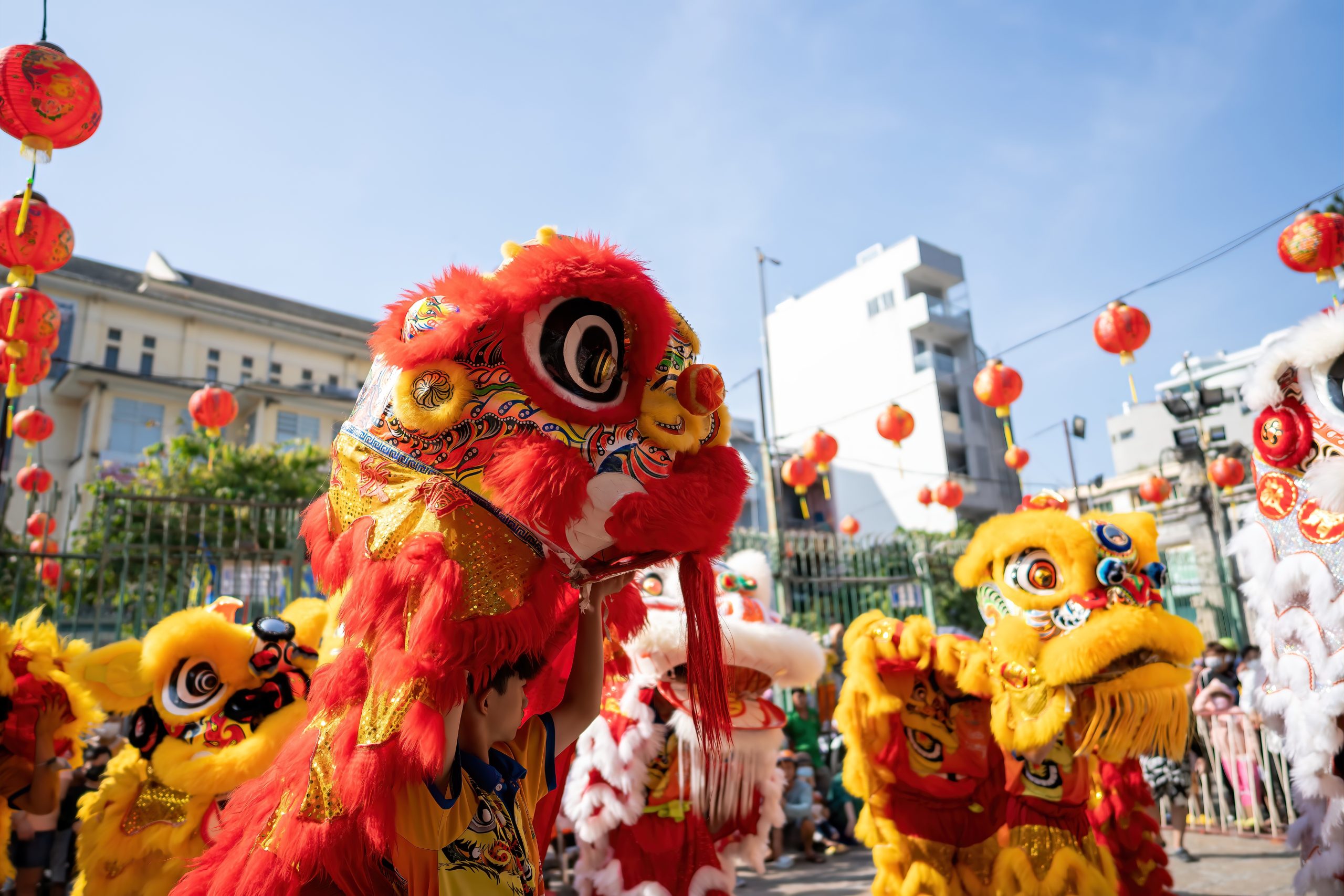 Dragon,And,Lion,Dance,Show,In,Chinese,New,Year,Festival