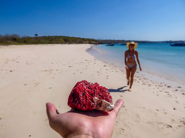 A,Girl,In,A,Straw,Hat,Walking,On,Beach,Towards