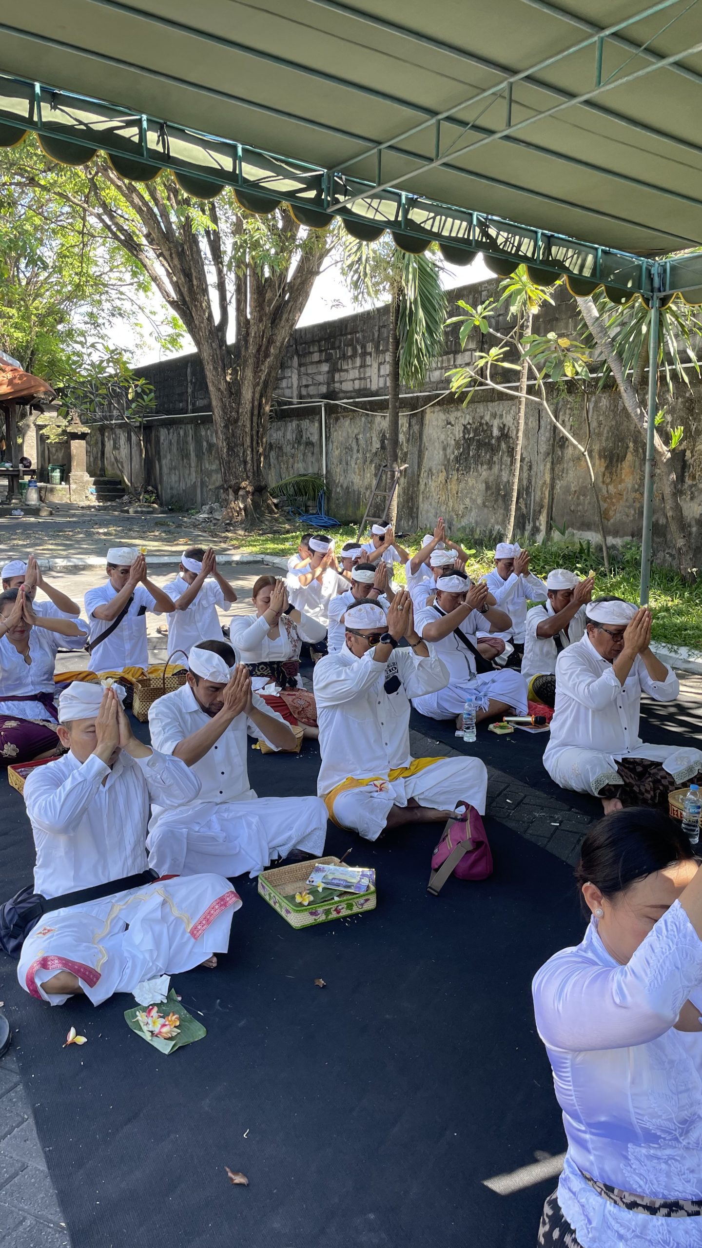 20260404_023136063_iOS