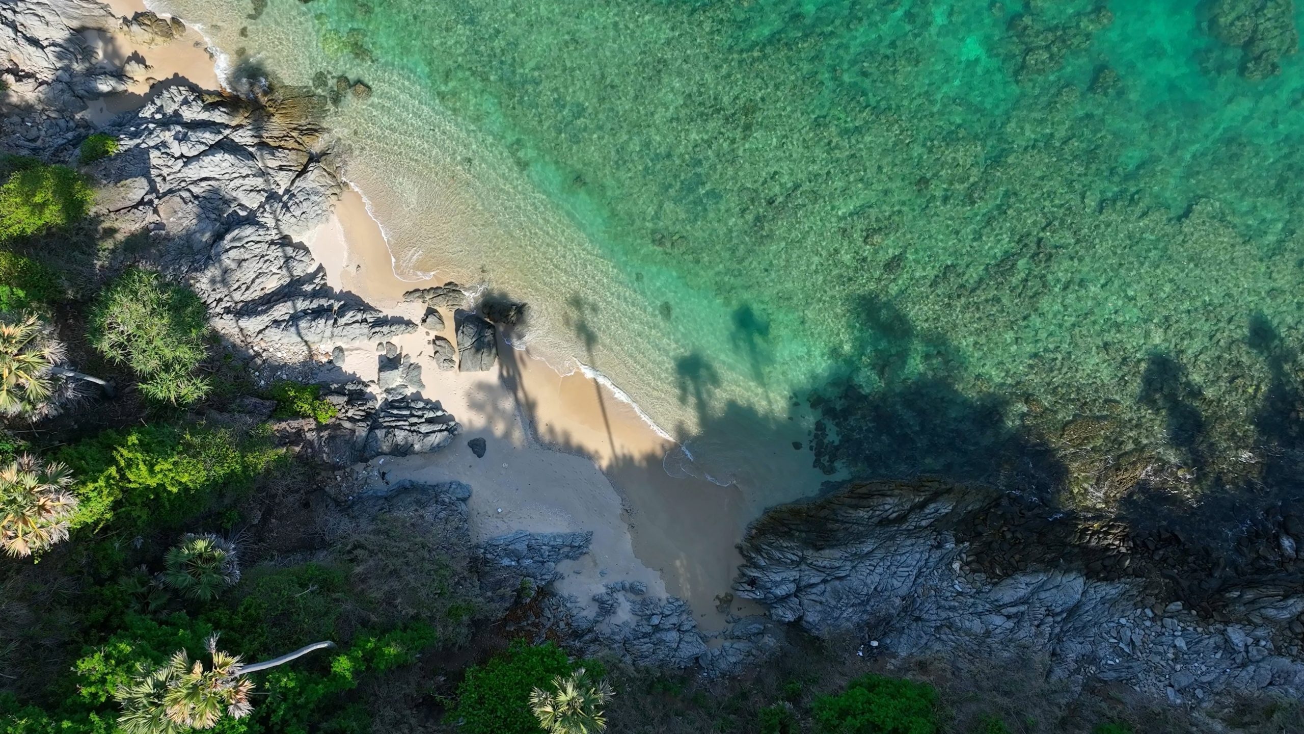 A,Serene,Beach,,Surrounded,By,Lush,Greenery,,Showcases,The,Beauty