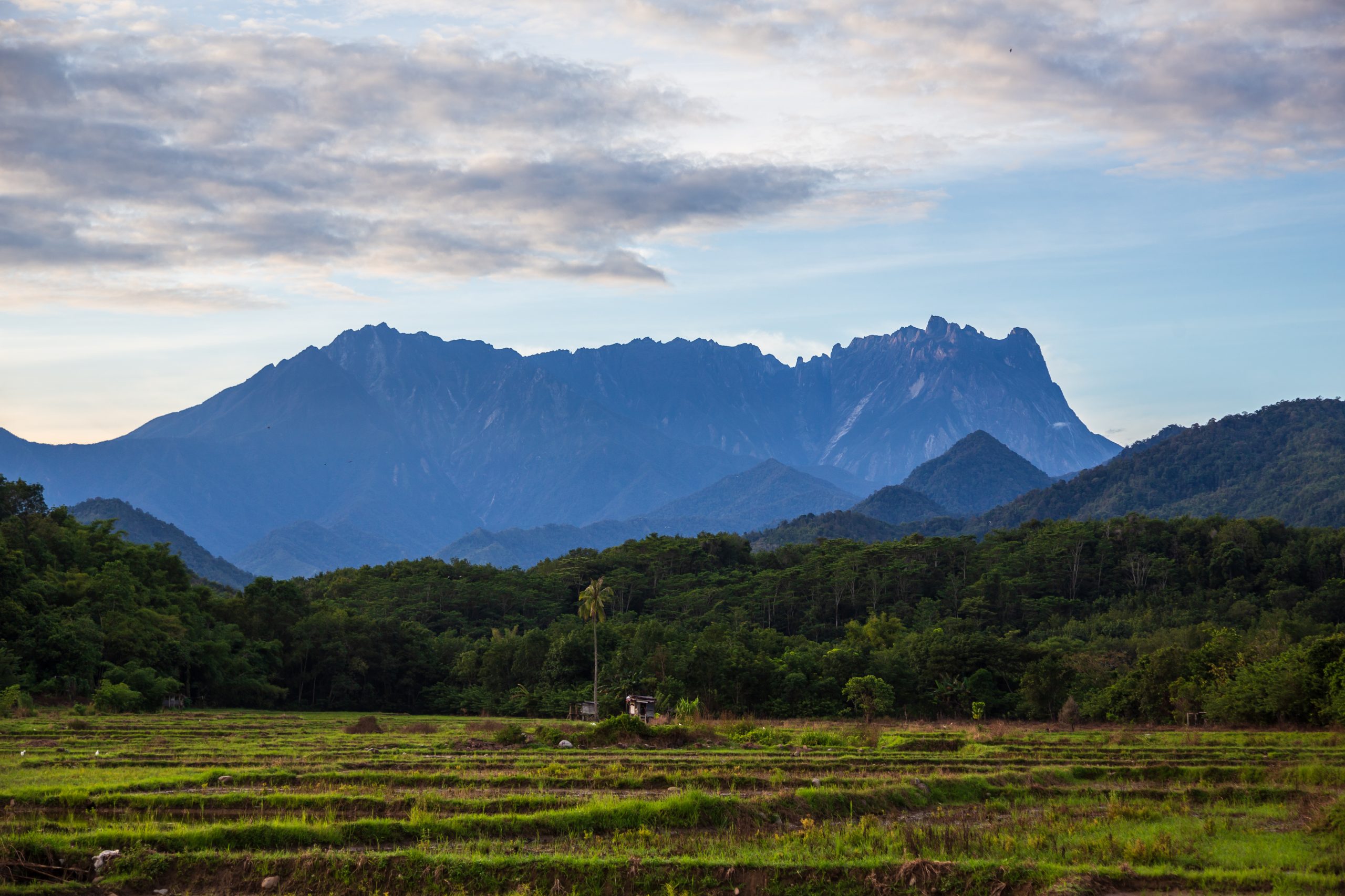 Beautiful,Nature,Rural,Landscape,With,Mount,Kinabalu,View,From,Tegudon,