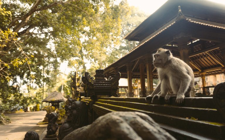 The,Ubud,Monkey,Forest,Is,A,Nature,Reserve,And,Hindu