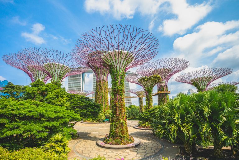 August,10,,2018:,Supertree,Grove,At,Marina,Bay,Garden,In