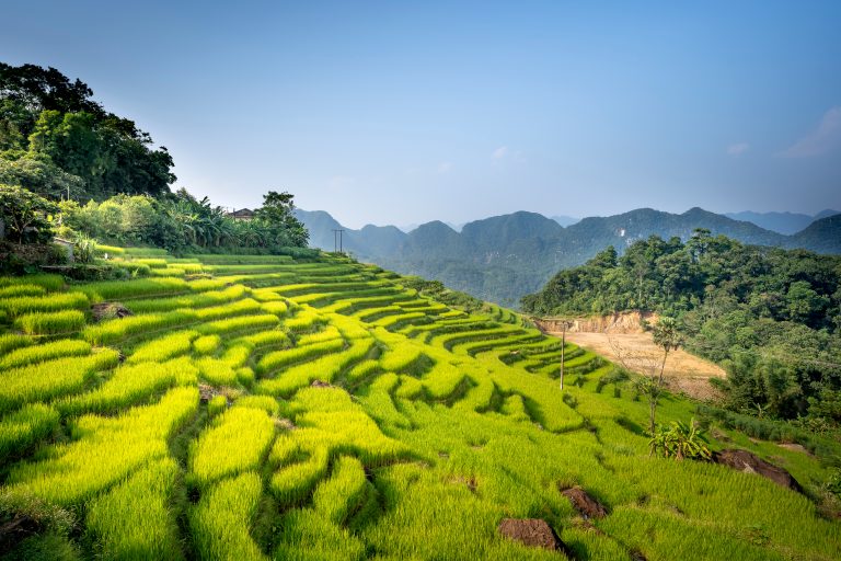 Destination Focus | Pu Luong: Vietnam’s Hidden Highland Escape